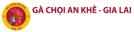 Gà Chọi An Khê Gia Lai